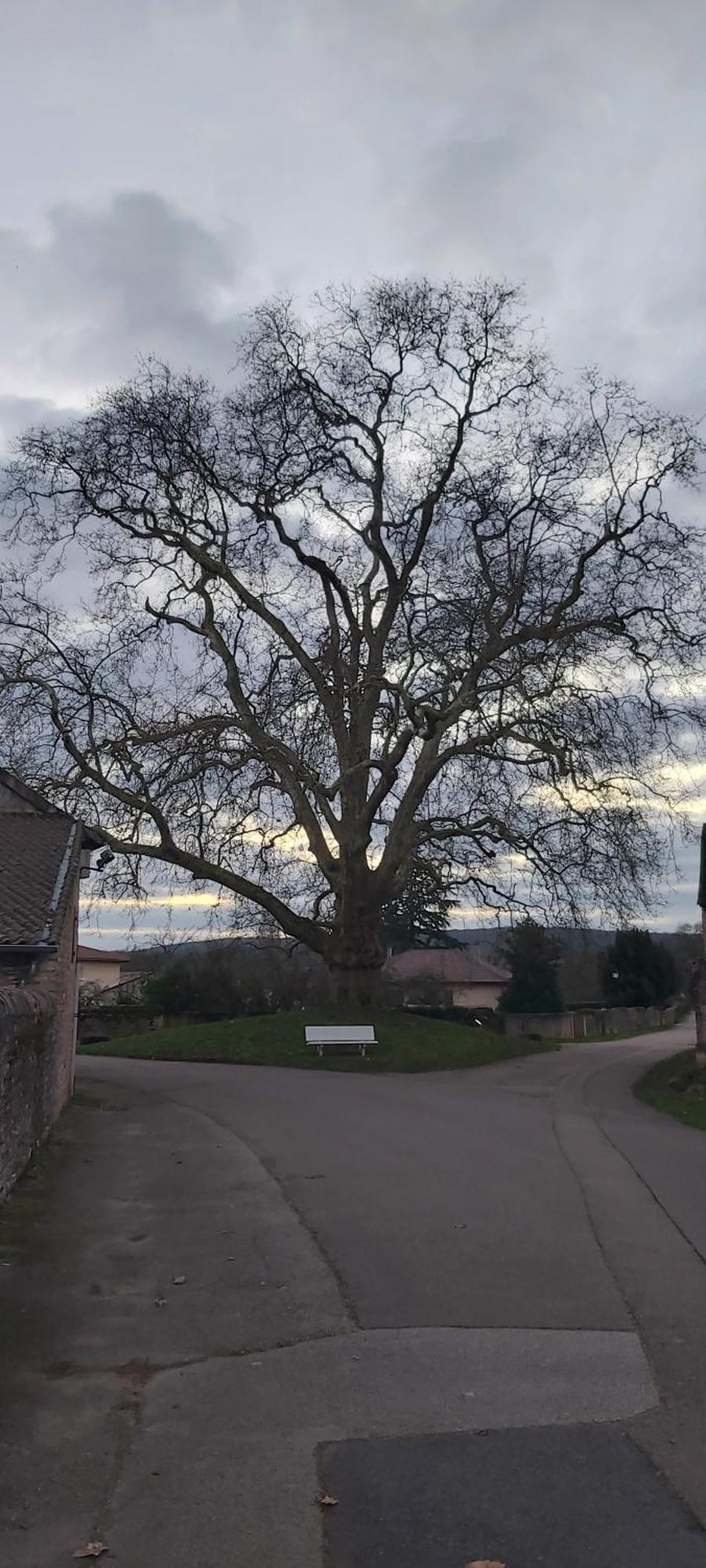 Le Gite Et Puits C'Est Tout Préty Rum bild